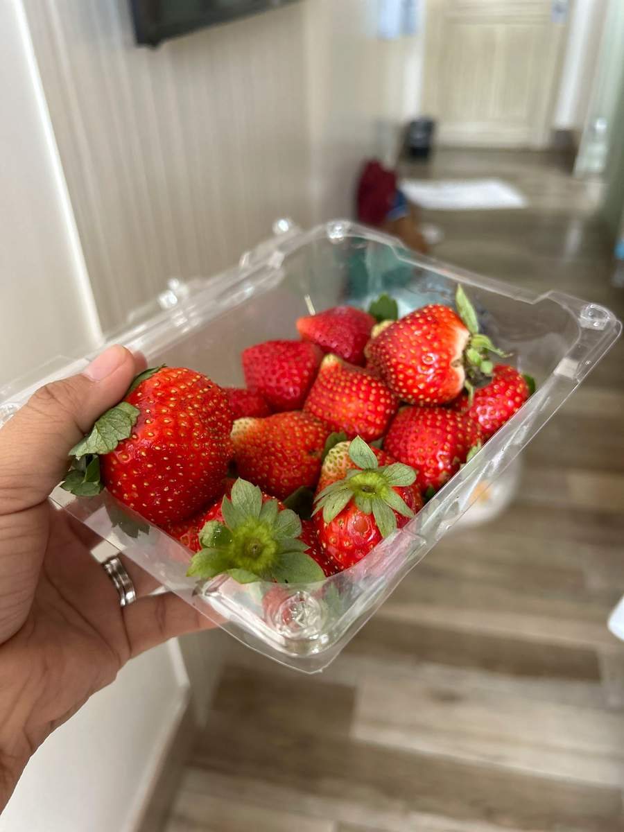 Hand holding a clear plastic tub of fresh red strawberries bought in Baguio