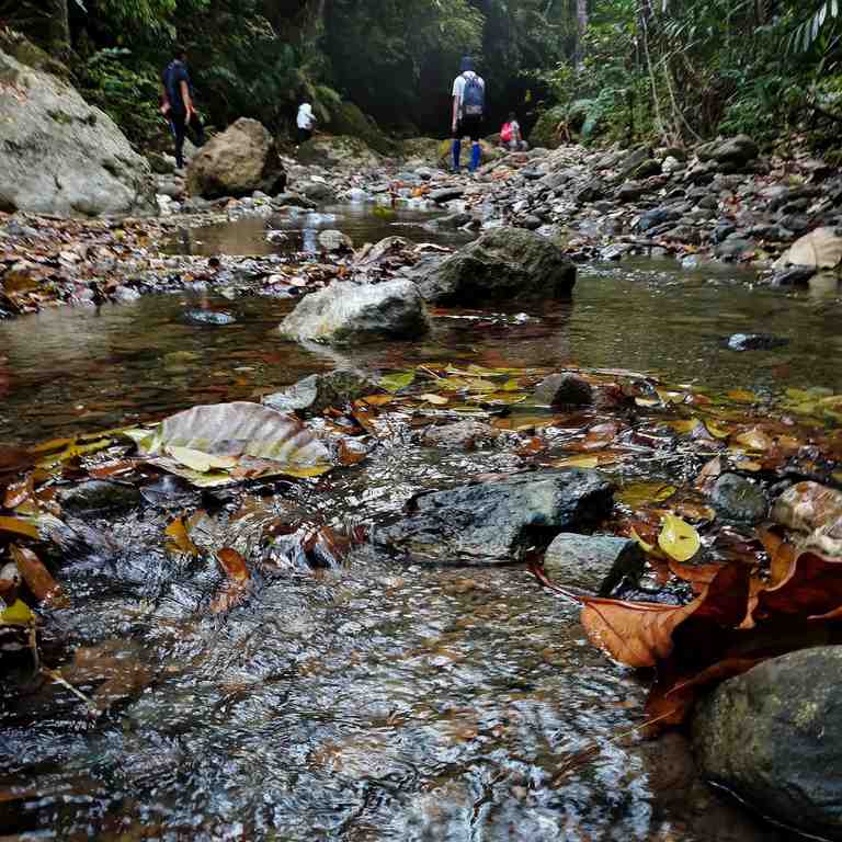 Hikers walking along a shallow, rocky stream on a shaded forest trail, with fallen leaves on the water in the foreground