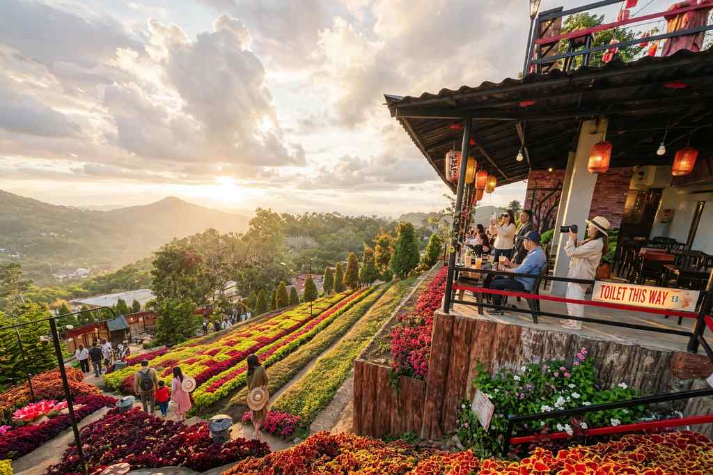 Celosia flower terraces and a hillside cafe at Sirao Garden, Cebu City, at sunset