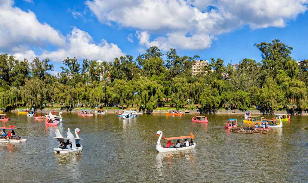 Swan-shaped paddle boats and colourful rowboats on Burnham Park Lake in Baguio, with willow trees along the shore under a blue sky