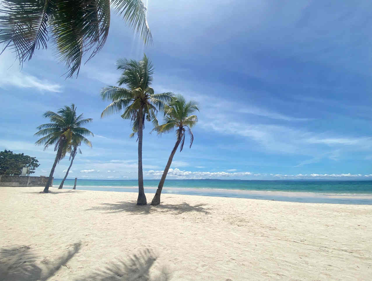Coconut palms on a quiet white sand beach in Cebu with turquoise water and a blue sky