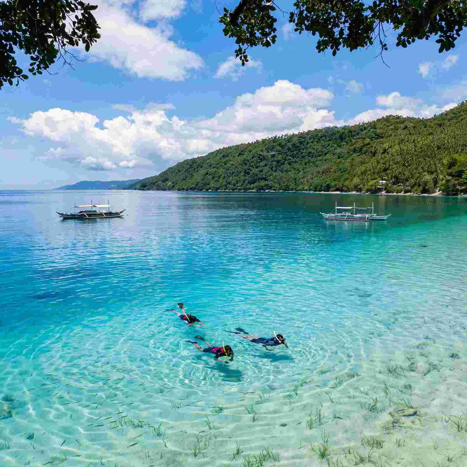Three snorkelers swimming in clear turquoise water beside outrigger boats and a forested hillside