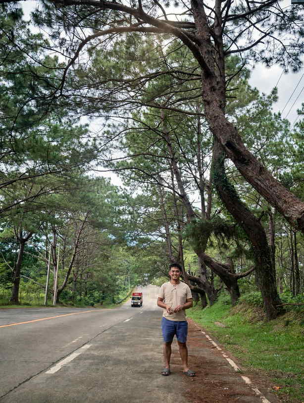 Traveller standing beside the pine-lined highway in Don Salvador Benedicto, Negros Occidental, with a truck coming up the road