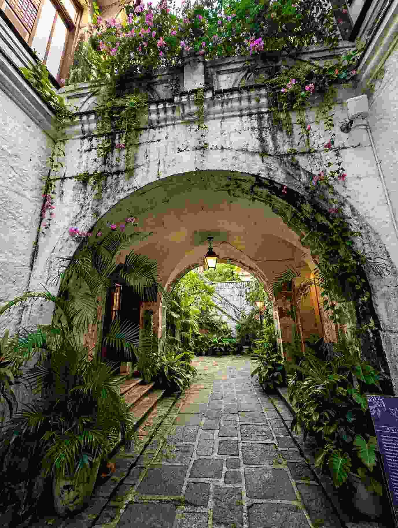 Stone archway covered in pink flowers and vines leading to a cobbled courtyard with palms in Intramuros, Manila