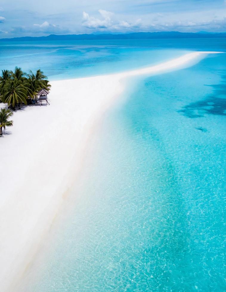 Aerial view of Kalanggaman Island's long white sandbar curving into turquoise water, with coconut palms and a small thatched hut on the left and distant hills on the horizon