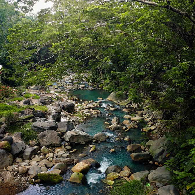 Clear turquoise stream running over rounded boulders under a thick forest canopy at Mambukal, Murcia, Negros Occidental