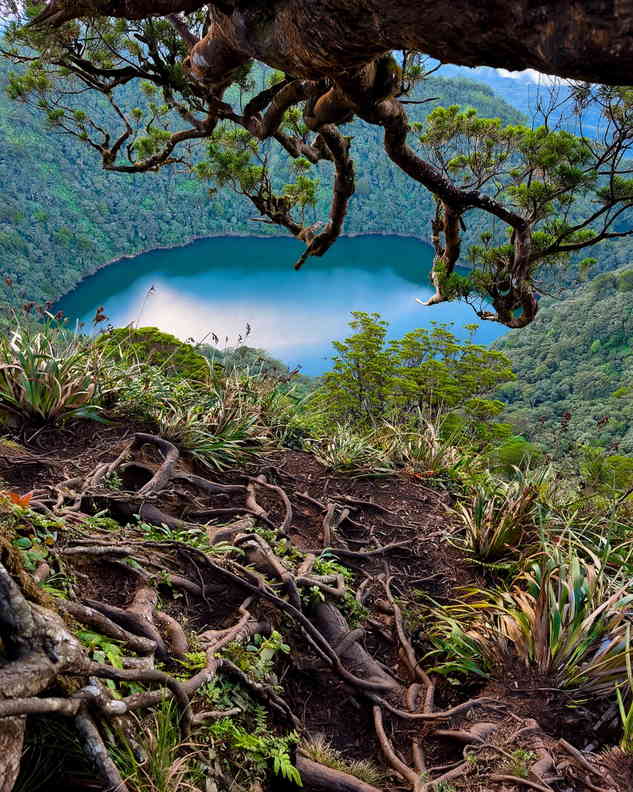 Blue crater lake on Mount Talinis seen from a steep forest trail covered in tangled tree roots, with mossy branches overhead