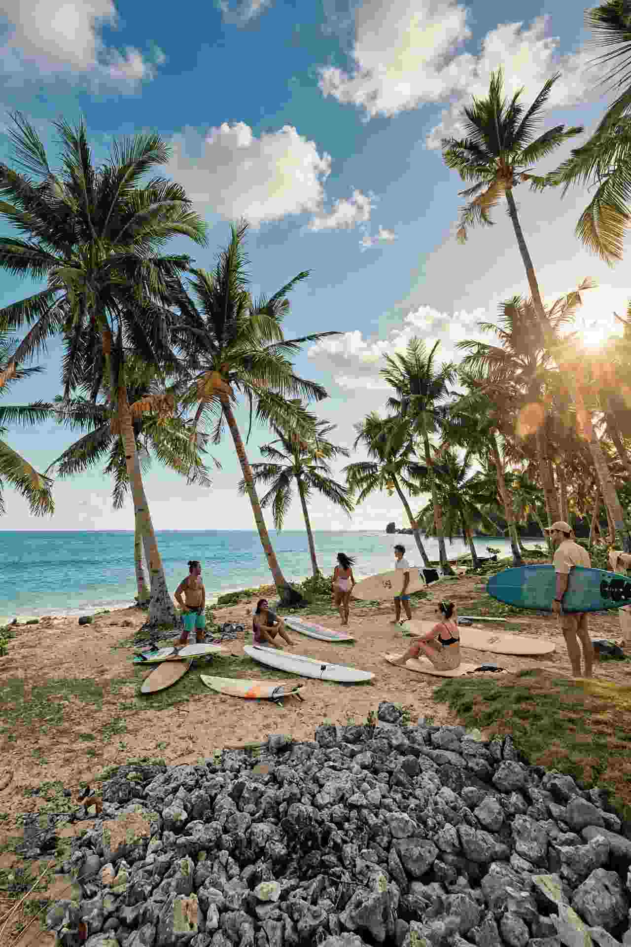 Surfers and their boards resting on a coconut-fringed beach on Siargao Island at sunset