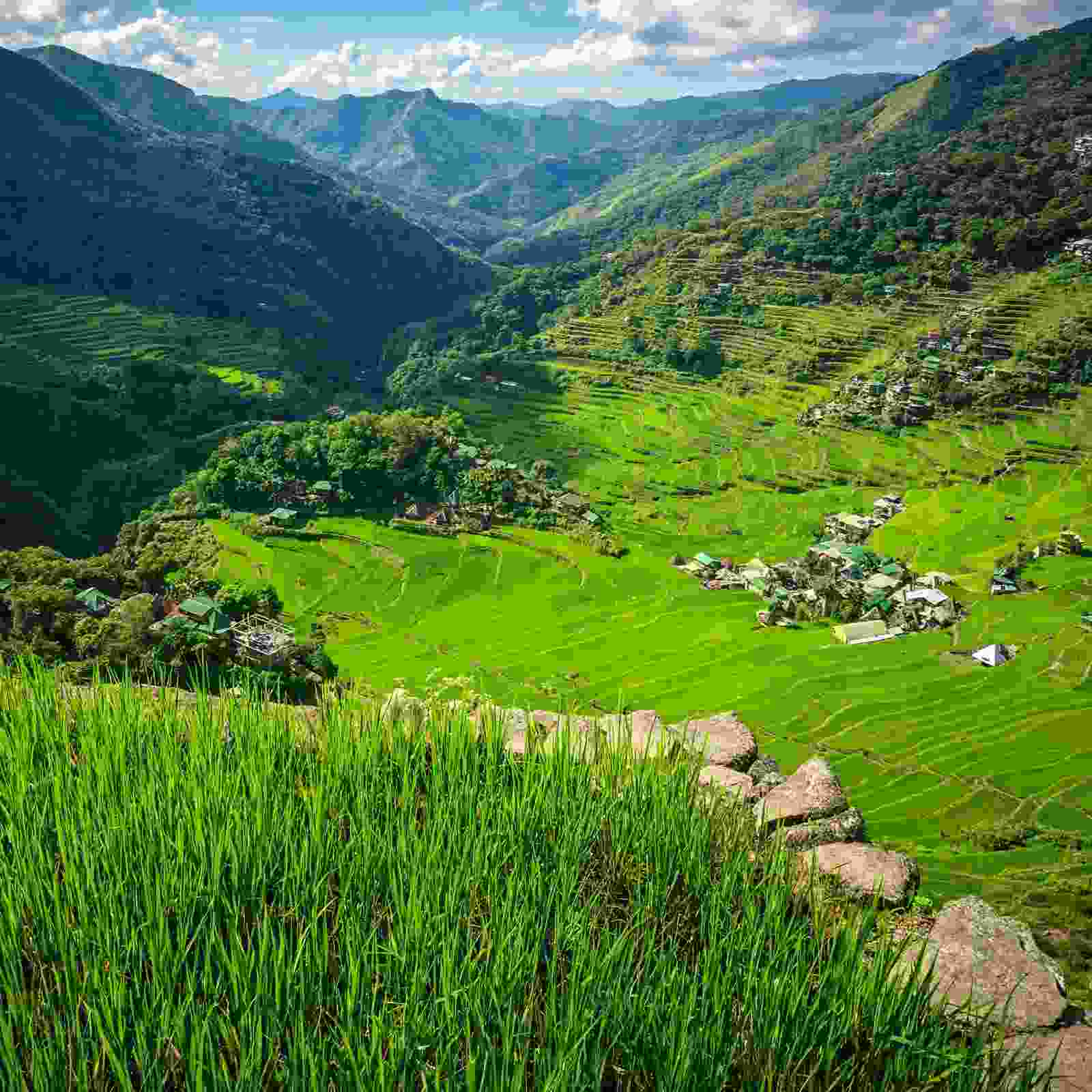 Sagada Caves and Hanging Coffins: Visitor Guide from Cebu