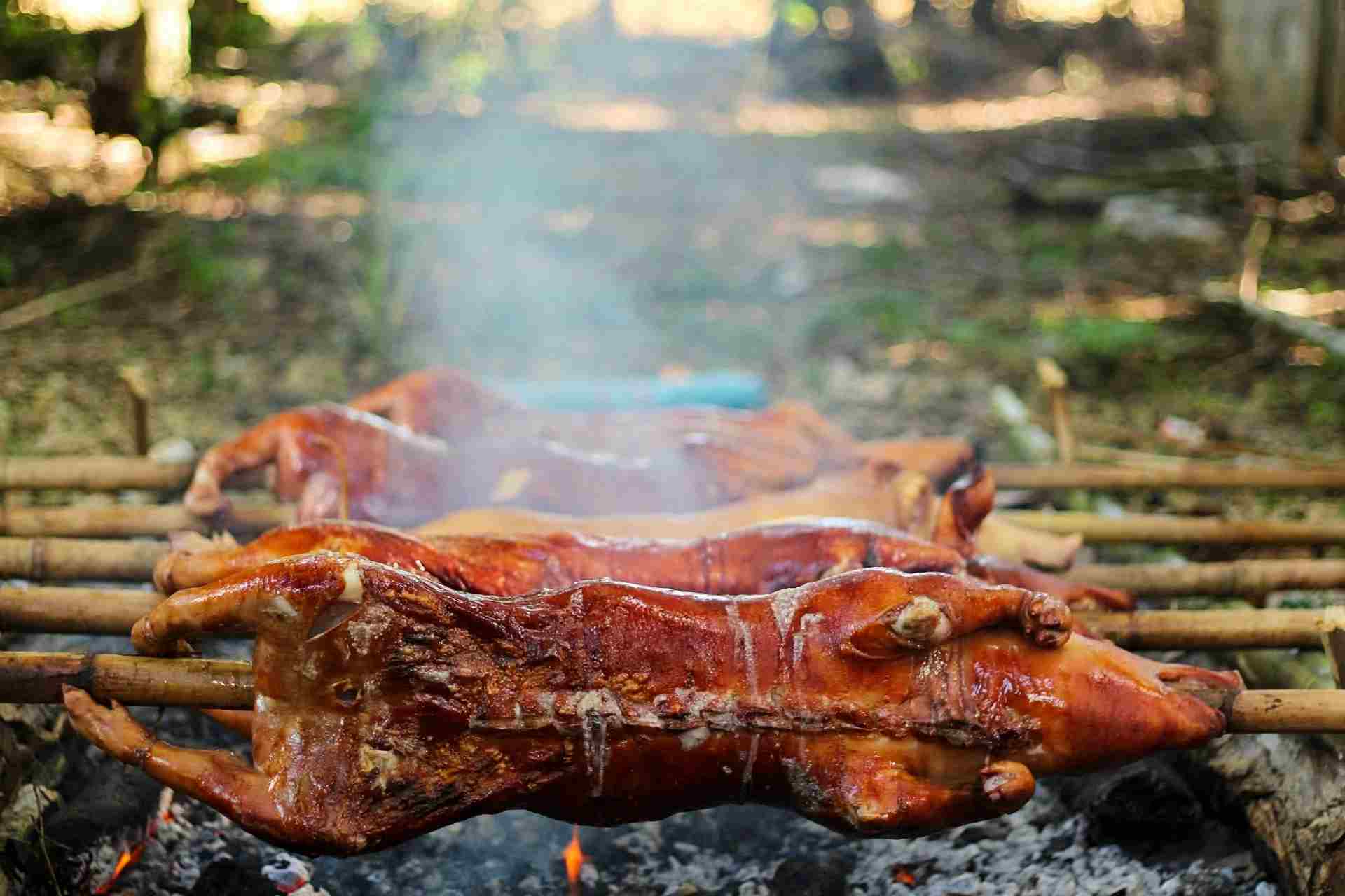 Whole pigs roasting over glowing embers on bamboo spits, their skin glossy and deep golden-brown, with smoke rising in the background